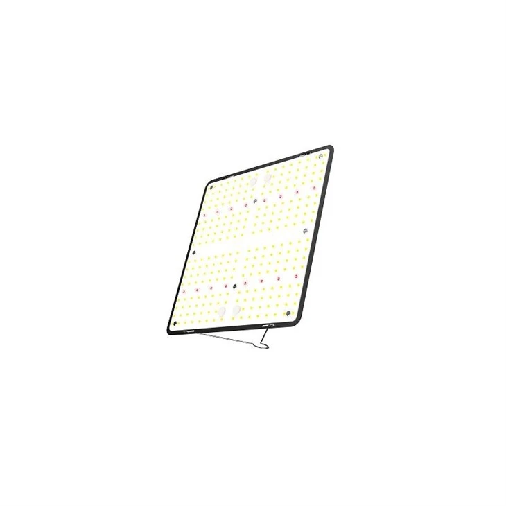 Quantum Board Amazon Bestseller Quantum Board Amazon Bestseller