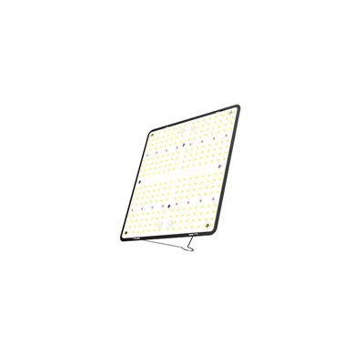 100W LED 식물 성장 조명 : 가정용 심기를위한 최선의 선택